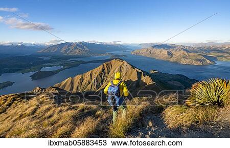 Stock Image - Hiker at the summit of Mount Roy, mountain and lake views, Roys Peak in the evening light, Lake Wanaka, Southern Alps, Otago, South Island, New Zealand, Oceania. Fotosearch