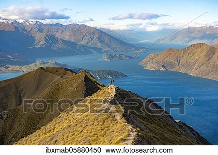 Stock Image - Hiker doing yoga, Mount Roy summit, mountain and lake views, Roys Peak, Lake Wanaka, Southern Alps, Otago, South Island, New Zealand, Oceania. Fotosearch