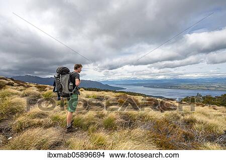 Picture - Hiker looks out over Lake Te Anau and Southfiord, Kepler Track, Fiordland National Park, Southland, South Island, New Zealand, Oceania. Fotosearch