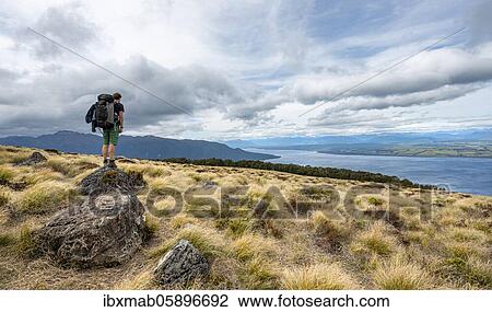 Hiker looks out over Lake Te Anau and Southfiord, Kepler Track, Fiordland National Park, Southland, South Island, New Zealand, Oceania View Large Photo Image Stock Image - Hiker looks out over Lake Te Anau and Southfiord, Kepler Track, Fiordland National Park, Southland, South Island, New Zealand, Oceania. Fotosearch