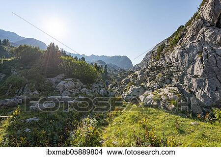 Picture - Hiker, mountain landscape, Stuhlgraben, Grießkogel in the back, Steinernes Meer, Funtenseetauern, Berchtesgaden National Park, Berchtesgadener Land, Upper Bavaria, Bavaria, Germany, Europe. Fotosearch