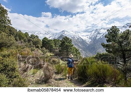 Picture - Hiker on a hiking trail, hiking trail Vereda de la Estrella, behind Sierra Nevada with summits Mulhacén and Pico Alcazaba, snow-covered mountains near Granada, Andalusia, Spain, Europe. Fotosearch