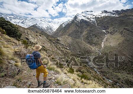 Picture - Hiker on a hiking trail, hiking trail Vereda de la Estrella, behind Sierra Nevada with summits Mulhacén and Pico Alcazaba, snow-covered mountains near Granada, Andalusia, Spain, Europe. Fotosearch