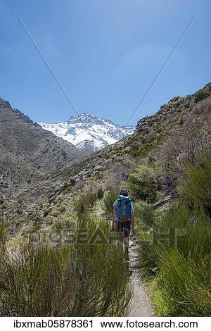 Stock Image - Hiker on a hiking trail, hiking trail Vereda de la Estrella, behind Sierra Nevada with peak La Alcazaba, snow-covered mountains near Granada, Andalusia, Spain, Europe. Fotosearch