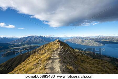 Hiker on a ridge, view of mountains and lake from Mount Roy, Roys Peak, Lake Wanaka, Southern Alps, Otago, South Island, New Zealand, Oceania View Large Photo Image Stock Image - Hiker on a ridge, view of mountains and lake from Mount Roy, Roys Peak, Lake Wanaka, Southern Alps, Otago, South Island, New Zealand, Oceania. Fotosearch