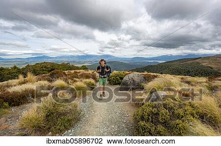 Stock Image - Hiker on Kepler Track, Fiordland National Park, Southland, South Island, New Zealand, Oceania. Fotosearch