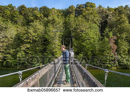 Hiker on suspension bridge, Waiau River, Kepler Track, Fiordland National Park, Southland, South Island, New Zealand, Oceania View Large Photo Image Stock Photo - Hiker on suspension bridge, Waiau River, Kepler Track, Fiordland National Park, Southland, South Island, New Zealand, Oceania. Fotosearch
