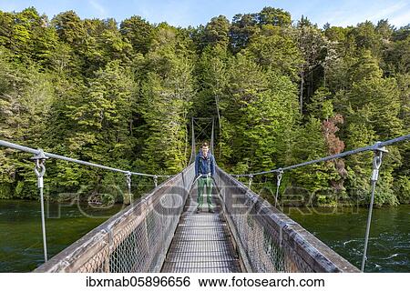 Hiker on suspension bridge, Waiau River, Kepler Track, Fiordland National Park, Southland, South Island, New Zealand, Oceania View Large Photo Image Stock Photograph - Hiker on suspension bridge, Waiau River, Kepler Track, Fiordland National Park, Southland, South Island, New Zealand, Oceania. Fotosearch