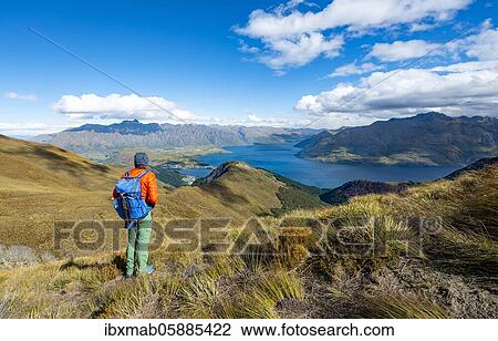 Hiker on the Ben Lomond trail, views of Lake Wakatipu and The Remarkables, Southern Alps, Otago, South Island, New Zealand, Oceania View Large Photo Image Stock Image - Hiker on the Ben Lomond trail, views of Lake Wakatipu and The Remarkables, Southern Alps, Otago, South Island, New Zealand, Oceania. Fotosearch