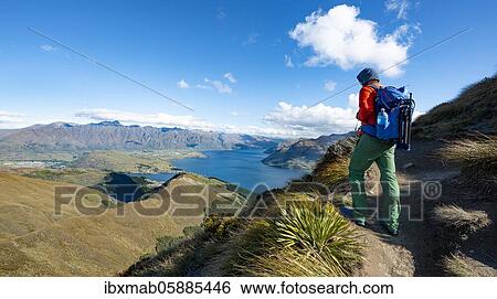 Hiker on the Ben Lomond trail, views of Lake Wakatipu and The Remarkables, Southern Alps, Otago, South Island, New Zealand, Oceania View Large Photo Image Stock Photograph - Hiker on the Ben Lomond trail, views of Lake Wakatipu and The Remarkables, Southern Alps, Otago, South Island, New Zealand, Oceania. Fotosearch