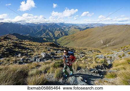 Picture - Hiker on the hiking trail to Ben Lomond, views of mountain ranges, Southern Alps, Otago, South Island, New Zealand, Oceania. Fotosearch