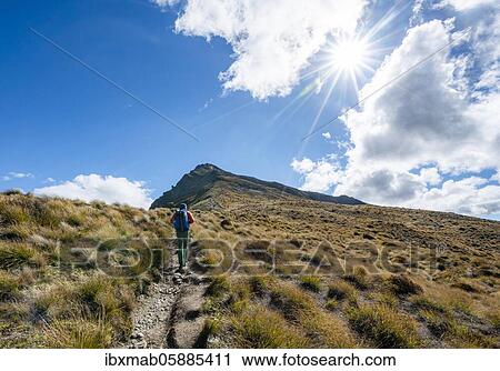 Stock Image - Hiker on the hiking trail to Ben Lomond, Southern Alps, Otago, South Island, New Zealand, Oceania. Fotosearch