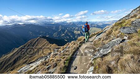Hiker on the hiking trail to Ben Lomond, views of mountain ranges, Southern Alps, Otago, South Island, New Zealand, Oceania View Large Photo Image Stock Image - Hiker on the hiking trail to Ben Lomond, views of mountain ranges, Southern Alps, Otago, South Island, New Zealand, Oceania. Fotosearch