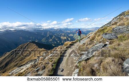 Hiker on the hiking trail to Ben Lomond, views of mountain ranges, Southern Alps, Otago, South Island, New Zealand, Oceania View Large Photo Image Stock Image - Hiker on the hiking trail to Ben Lomond, views of mountain ranges, Southern Alps, Otago, South Island, New Zealand, Oceania. Fotosearch