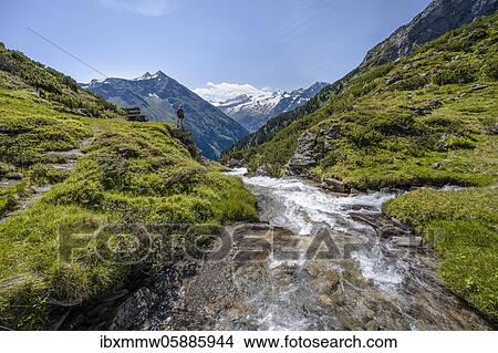 Hiker on the Kesselbach hiking trail, Berliner Höhenweg, left Großer Greiner, right Kleiner Hochsteller, Kälberlahnerspitze and Hochsteller, Zillertaler Alps, Zillertal, Tyrol, Austria, Europe View Large Photo Image Picture - Hiker on the Kesselbach hiking trail, Berliner Höhenweg, left Großer Greiner, right Kleiner Hochsteller, Kälberlahnerspitze and Hochsteller, Zillertaler Alps, Zillertal, Tyrol, Austria, Europe. Fotosearch