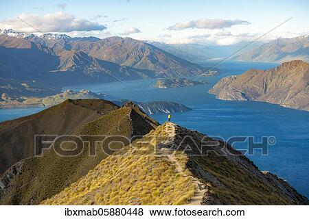 Stock Photo - Hiker on the summit of Mount Roy, views of mountains and lake, Roys Peak, Lake Wanaka, Southern Alps, Otago, South Island, New Zealand, Oceania. Fotosearch
