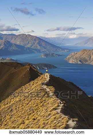 Stock Photo - Hiker on the summit of Mount Roy, views of mountains and lake, Roys Peak, Lake Wanaka, Southern Alps, Otago, South Island, New Zealand, Oceania. Fotosearch