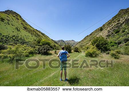 Stock Photo - Hiker on trail in a valley, Grandview Mountain Track, Lake Hāwea, Southern Alps, Otago, South Island, New Zealand, Oceania. Fotosearch
