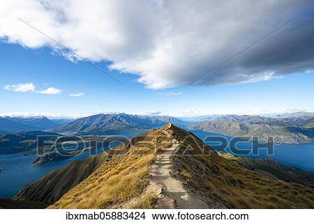 Hiker takes a skydive, views of mountains and lake from Mount Roy, Roys Peak, Lake Wanaka, Southern Alps, Otago, South Island, New Zealand, Oceania View Large Photo Image Picture - Hiker takes a skydive, views of mountains and lake from Mount Roy, Roys Peak, Lake Wanaka, Southern Alps, Otago, South Island, New Zealand, Oceania. Fotosearch