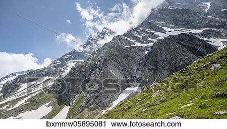 Hikers descending from the Mörchnerscharte to the Berliner Hütte, Berliner Höhenweg, Zillertal Alps, Zillertal, Tyrol, Austria, Europe View Large Photo Image Stock Image - Hikers descending from the Mörchnerscharte to the Berliner Hütte, Berliner Höhenweg, Zillertal Alps, Zillertal, Tyrol, Austria, Europe. Fotosearch