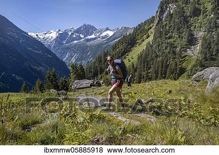 Stock Photo - Hikers look at mountains, Zamser Eck, Kleiner Hochsteller, Kälberlahnerspitze and Hochsteller, Zillertaler Alps, Zillertal, Tyrol, Austria, Europe. Fotosearch