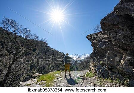 Picture - Hikers on hiking trail Vereda de la Estrella, Sierra Nevada, mountains near Granada, Andalusia, Spain, Europe. Fotosearch