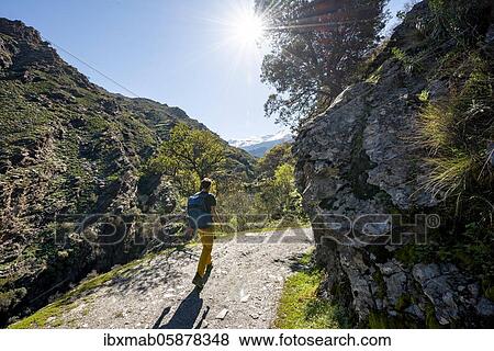 Hikers on hiking trail Vereda de la Estrella, Sierra Nevada, mountains near Granada, Andalusia, Spain, Europe View Large Photo Image Stock Photo - Hikers on hiking trail Vereda de la Estrella, Sierra Nevada, mountains near Granada, Andalusia, Spain, Europe. Fotosearch