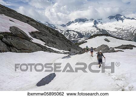 Hikers on the ascent of Schneefeld to the Mörchnerscharte, Berliner Höhenweg, Zillertal Alps, Zillertal, Tyrol, Austria, Europe View Large Photo Image Stock Image - Hikers on the ascent of Schneefeld to the Mörchnerscharte, Berliner Höhenweg, Zillertal Alps, Zillertal, Tyrol, Austria, Europe. Fotosearch