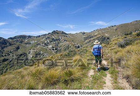 Stock Image - Hikers on trail, Grandview Mountain Track, Lake Hāwea, Southern Alps, Otago, South Island, New Zealand, Oceania. Fotosearch