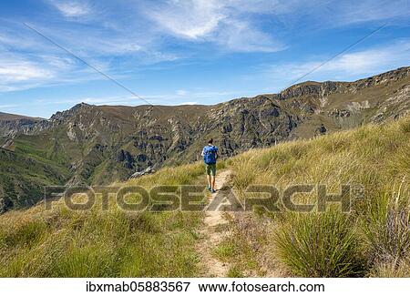 Hikers on trail, Grandview Mountain Track, Lake Hāwea, Southern Alps, Otago, South Island, New Zealand, Oceania View Large Photo Image Stock Photo - Hikers on trail, Grandview Mountain Track, Lake Hāwea, Southern Alps, Otago, South Island, New Zealand, Oceania. Fotosearch