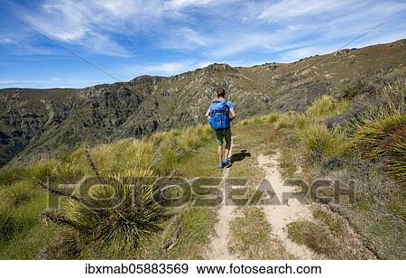 Stock Photo - Hikers on trail, Grandview Mountain Track, Lake Hāwea, Southern Alps, Otago, South Island, New Zealand, Oceania. Fotosearch