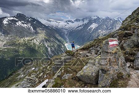 Stock Image - Hiking on the Berlin High Altitude Trail, Schlegeis Reservoir, Schlegeis reservoir, Zillertal Alps, Schlegeiskees Glacier, Zillertal, Tyrol, Austria, Europe. Fotosearch