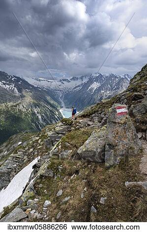 Stock Photograph - Hiking on the Berlin High Altitude Trail, Schlegeis Reservoir, Schlegeis reservoir, Zillertal Alps, Schlegeiskees Glacier, Zillertal, Tyrol, Austria, Europe. Fotosearch