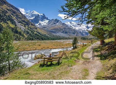 Stock Image - Hiking trail and glacier stream in the Roseg Valley, Val Roseg with Piz Roseg, Pontresina, Bernina Alps, Upper Engadine, Engadine, Grisons, Switzerland, Europe. Fotosearch