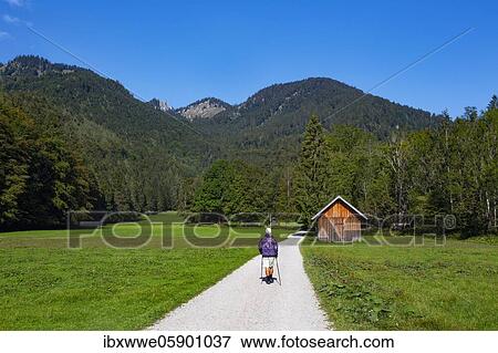 Stock Photo - Hiking trail from the Schwarzensee to the Moosalm, municipality of St. Wolfgang, Salzkammergut, Upper Austria, Austria, Europe. Fotosearch