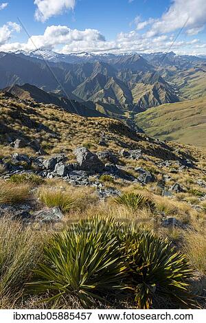Stock Photo - Hiking trail to Ben Lomond, views of mountains, Southern Alps, Otago, South Island, New Zealand, Oceania. Fotosearch