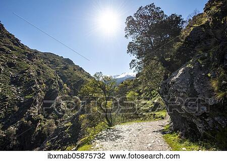 Stock Image - Hiking trail Vereda de la Estrella, Sierra Nevada, mountains near Granada, Andalusia, Spain, Europe. Fotosearch