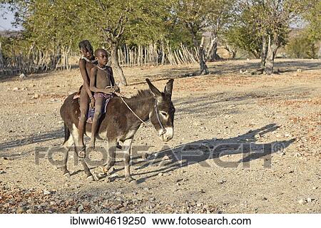 Stock Image - Himbakinder ride on donkey, Kaokoveld, Namibia, Africa. Fotosearch