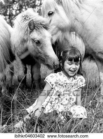 Stock Image - Horses sniff a girl, England, Great Britain. Fotosearch