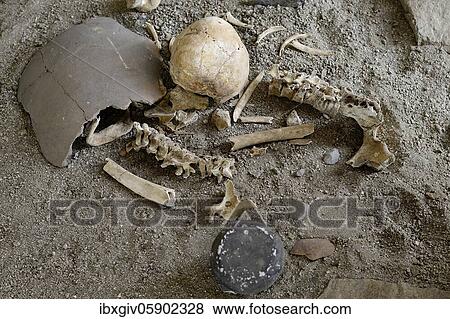 Stock Photo - Human bones in a tomb of the Sechin culture, ruins of Cerro Sechín, Casma, Ancash region, Peru, South America. Fotosearch