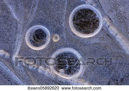 Ice forms in a puddle, abstract, graphic, Goldenstedter Moor, Lower Saxony, Germany, Europe View Large Photo Image Stock Image - Ice forms in a puddle, abstract, graphic, Goldenstedter Moor, Lower Saxony, Germany, Europe. Fotosearch