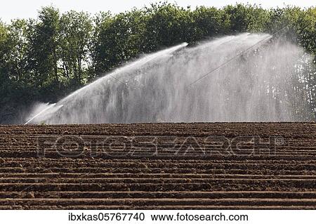 Irrigation machine irrigates a field in spring, Lower Rhine, North Rhine-Westphalia, Germany, Europe View Large Photo Image Stock Image - Irrigation machine irrigates a field in spring, Lower Rhine, North Rhine-Westphalia, Germany, Europe. Fotosearch