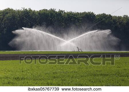 Irrigation machine irrigates a field in spring, Lower Rhine, North Rhine-Westphalia, Germany, Europe View Large Photo Image Stock Photo - Irrigation machine irrigates a field in spring, Lower Rhine, North Rhine-Westphalia, Germany, Europe. Fotosearch
