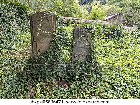 Jewish Cemetery in Jemnice, Czech Republic, Europe View Large Photo Image Stock Image - Jewish Cemetery in Jemnice, Czech Republic, Europe. Fotosearch