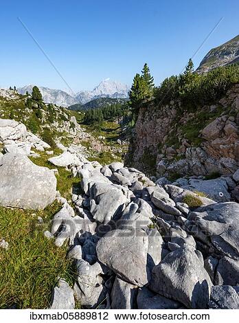 Stock Image - Karst landscape, behind Watzmann, Steinernes Meer, Funtenseetauern, Berchtesgaden National Park, Berchtesgadener Land, Upper Bavaria, Bavaria, Germany, Europe. Fotosearch