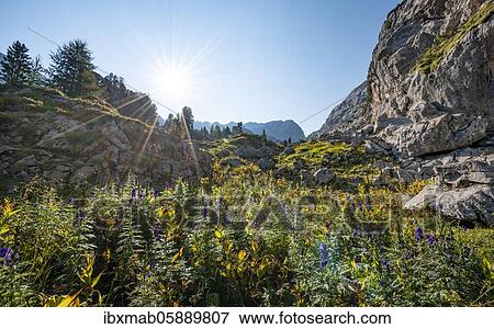 Karst landscape, mountain landscape, Stuhlgraben, Grießkogel in the background, Steinernes Meer, Funtenseetauern, Berchtesgaden National Park, Berchtesgadener Land, Upper Bavaria, Bavaria, Germany, Europe View Large Photo Image Stock Photo - Karst landscape, mountain landscape, Stuhlgraben, Grießkogel in the background, Steinernes Meer, Funtenseetauern, Berchtesgaden National Park, Berchtesgadener Land, Upper Bavaria, Bavaria, Germany, Europe. Fotosearch