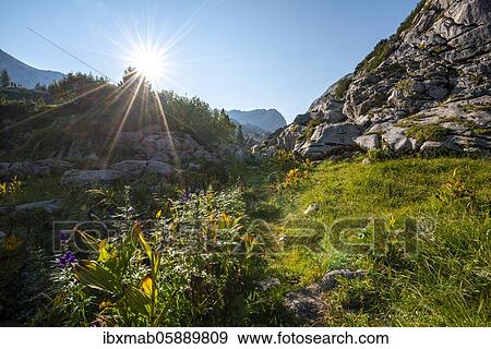 Stock Photo - Karst landscape, mountain landscape, Stuhlgraben, Grießkogel in the background, Steinernes Meer, Funtenseetauern, Berchtesgaden National Park, Berchtesgadener Land, Upper Bavaria, Bavaria, Germany, Europe. Fotosearch