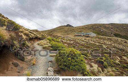 Stock Photo - Kepler Track hiking trail, Luxmore Hat, Fiordland National Park, Southland, South Island, New Zealand, Oceania. Fotosearch