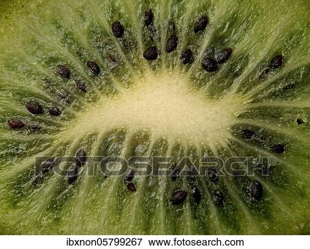 Stock Photo - Kiwifruit ( Actinidia deliciosa), Macrophoto, Germany, Europe. Fotosearch