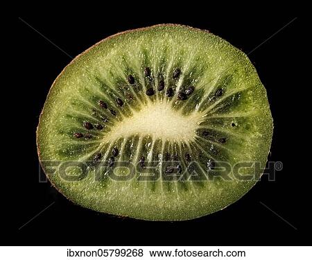 Kiwifruit ( Actinidia deliciosa), Macrophoto, Germany, Europe View Large Photo Image Stock Photo - Kiwifruit ( Actinidia deliciosa), Macrophoto, Germany, Europe. Fotosearch